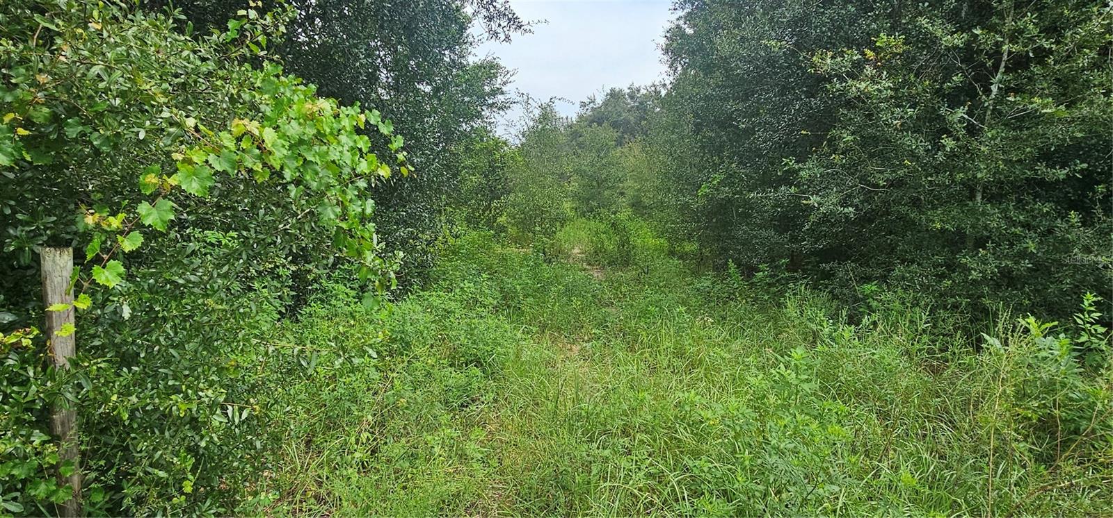 12023 HOWEY CROSS ROAD