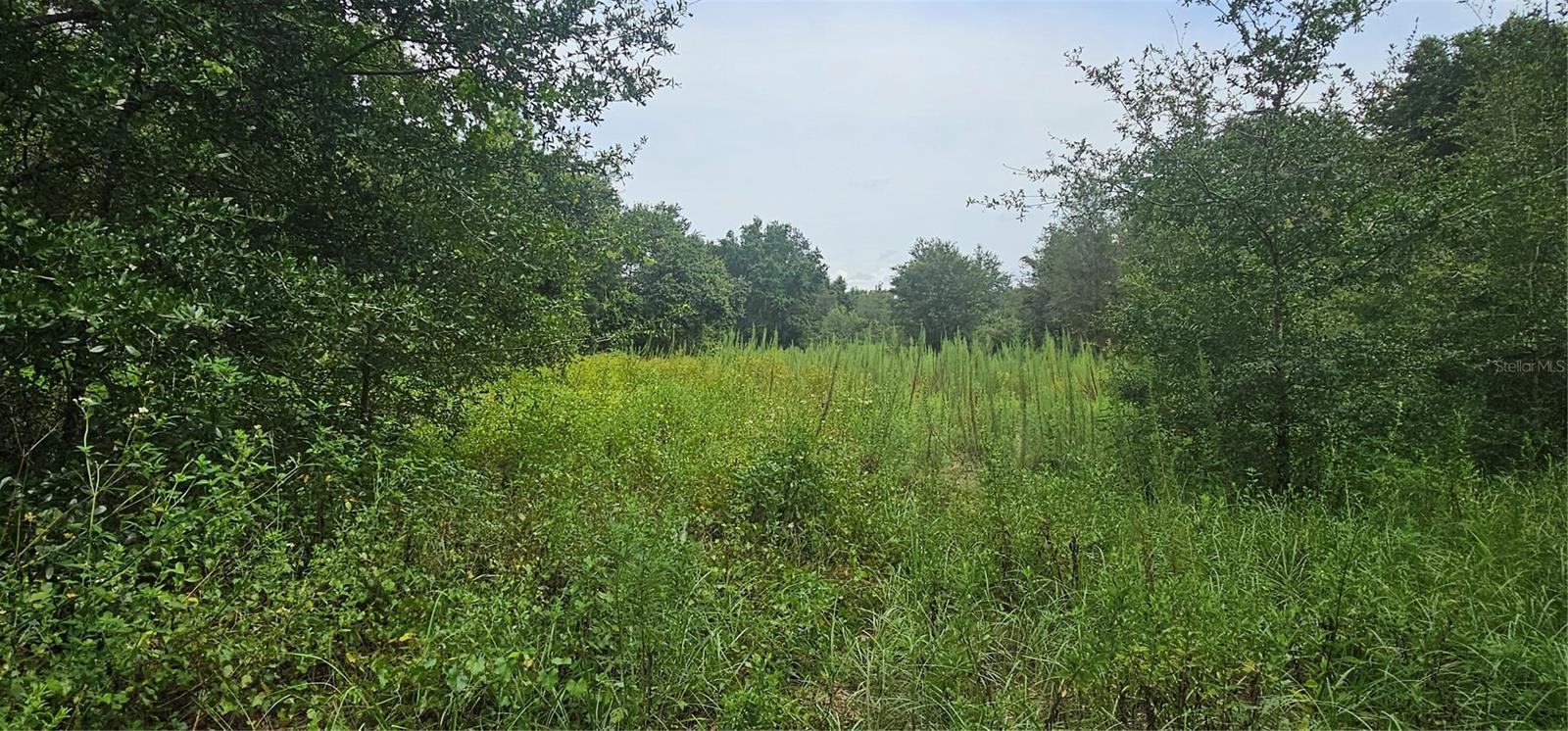 12023 HOWEY CROSS ROAD