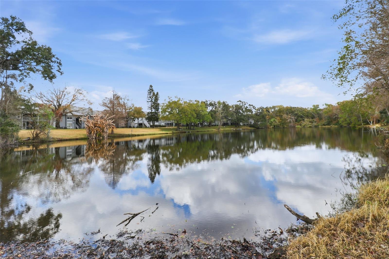 RAINTREE VILLAGE CONDO N - Residential