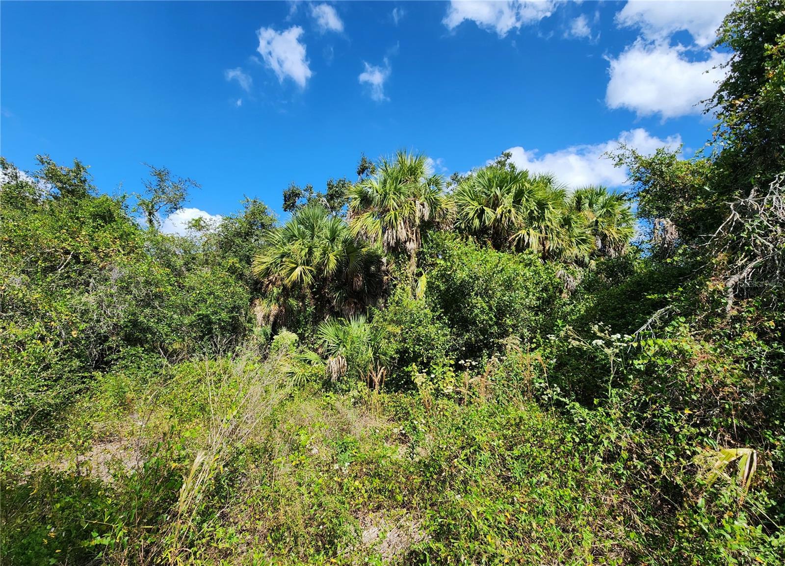 PORT CHARLOTTE SUB 32 - Land