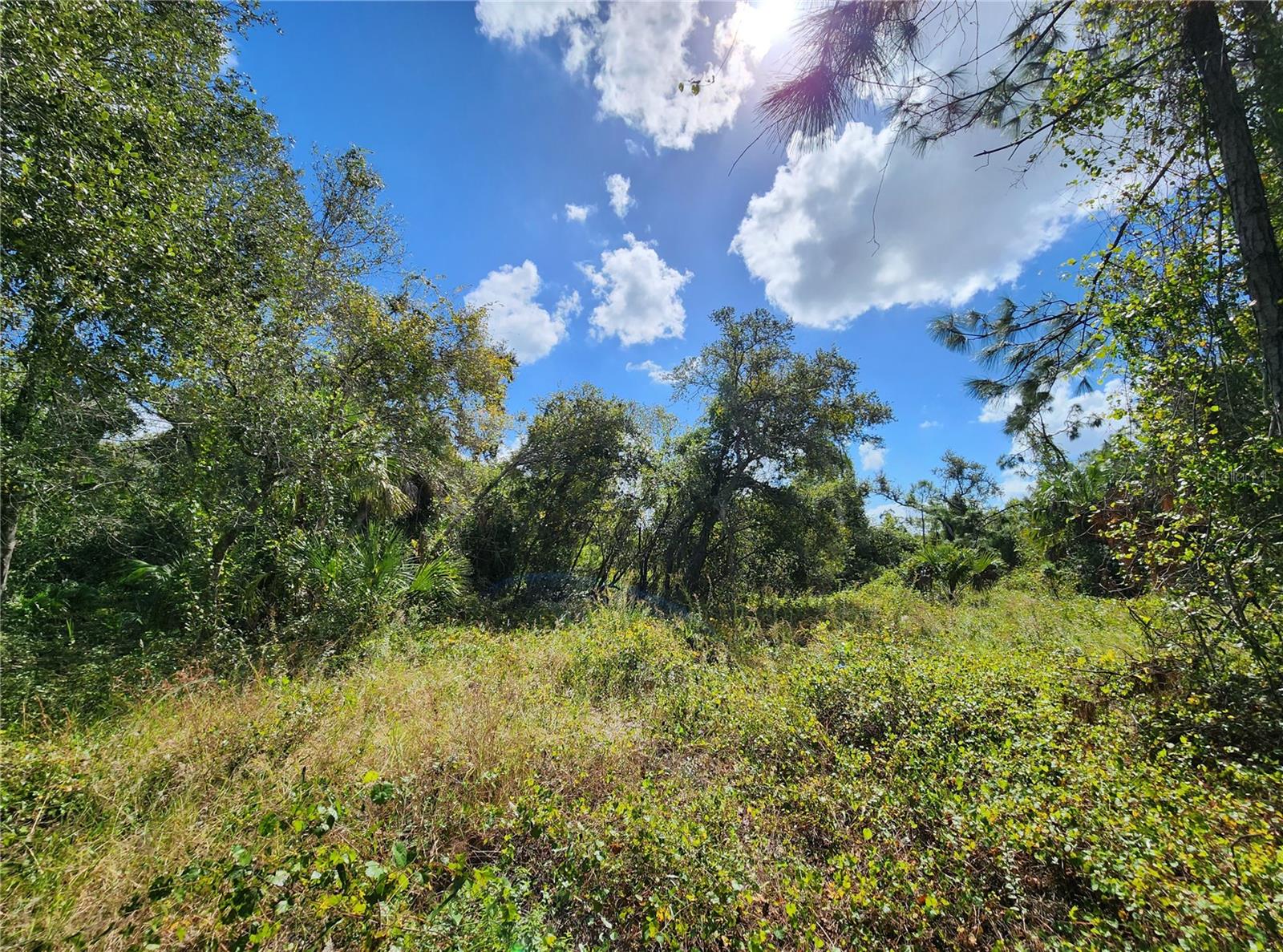 PORT CHARLOTTE SUB 32 - Land