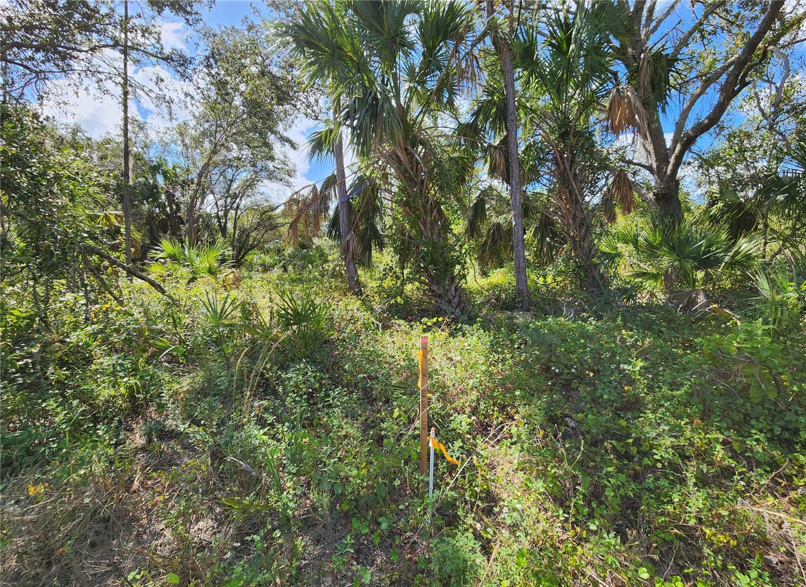 PORT CHARLOTTE SUB 32 - Land