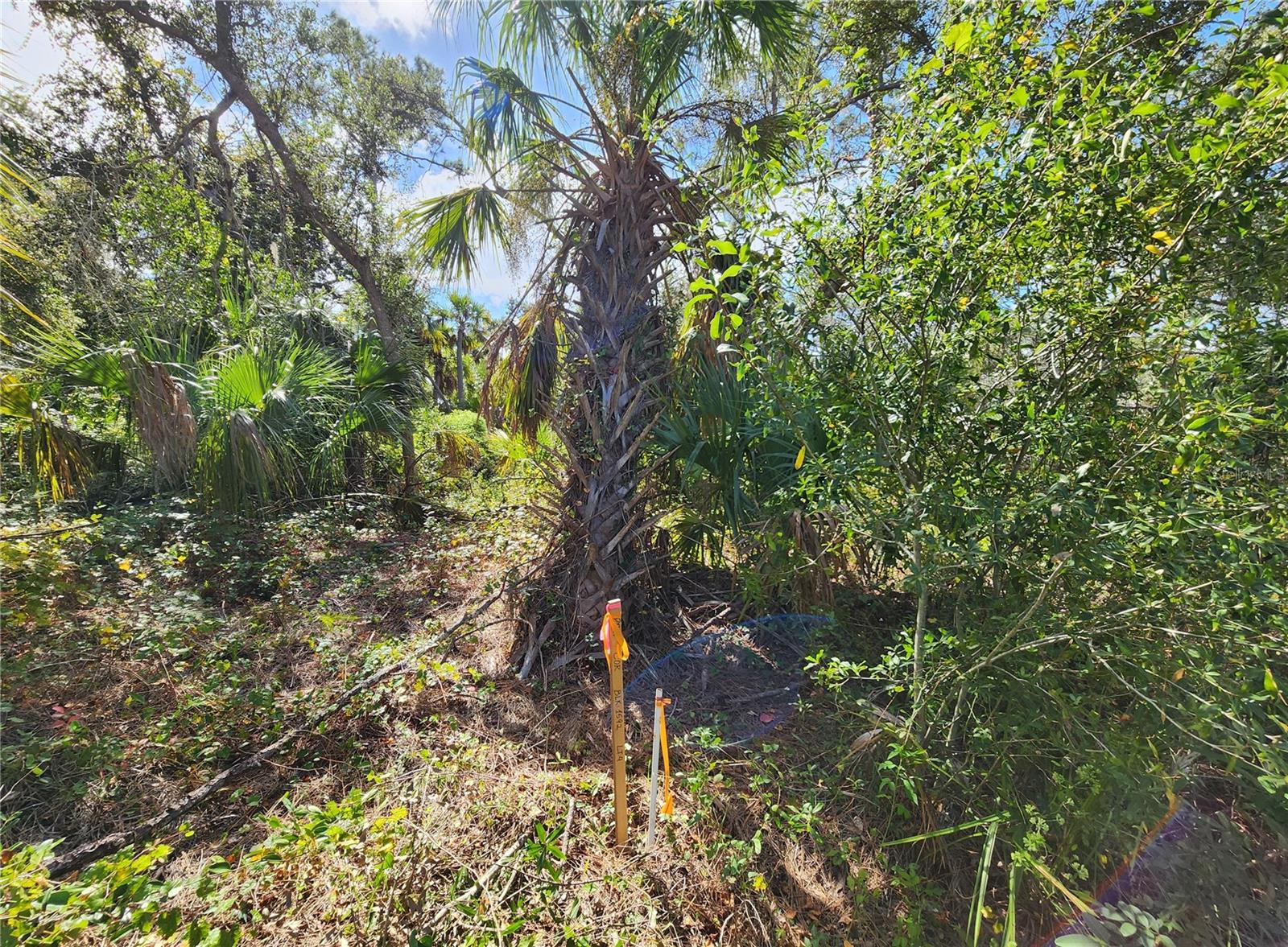 PORT CHARLOTTE SUB 32 - Land