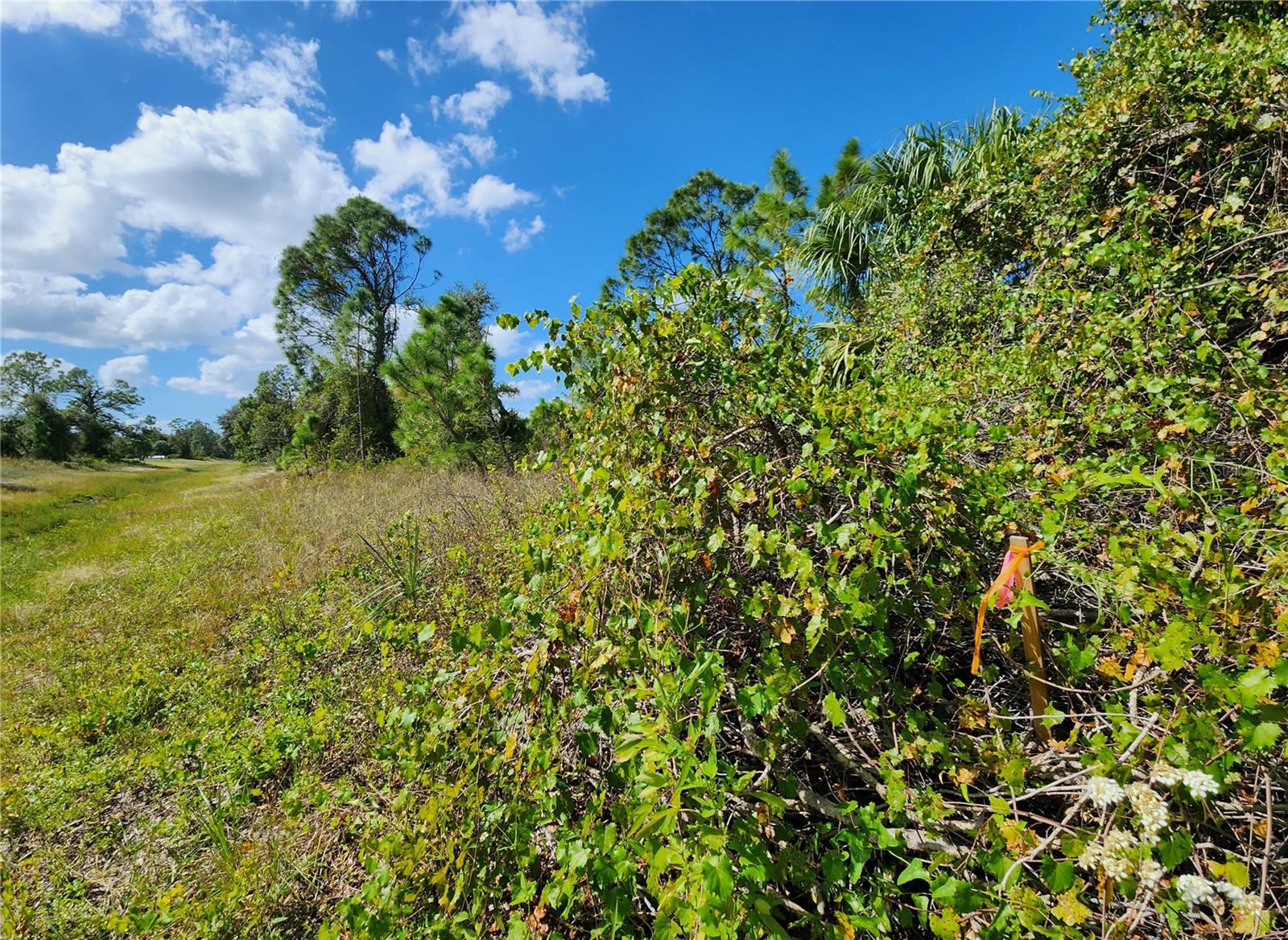 PORT CHARLOTTE SUB 32 - Land