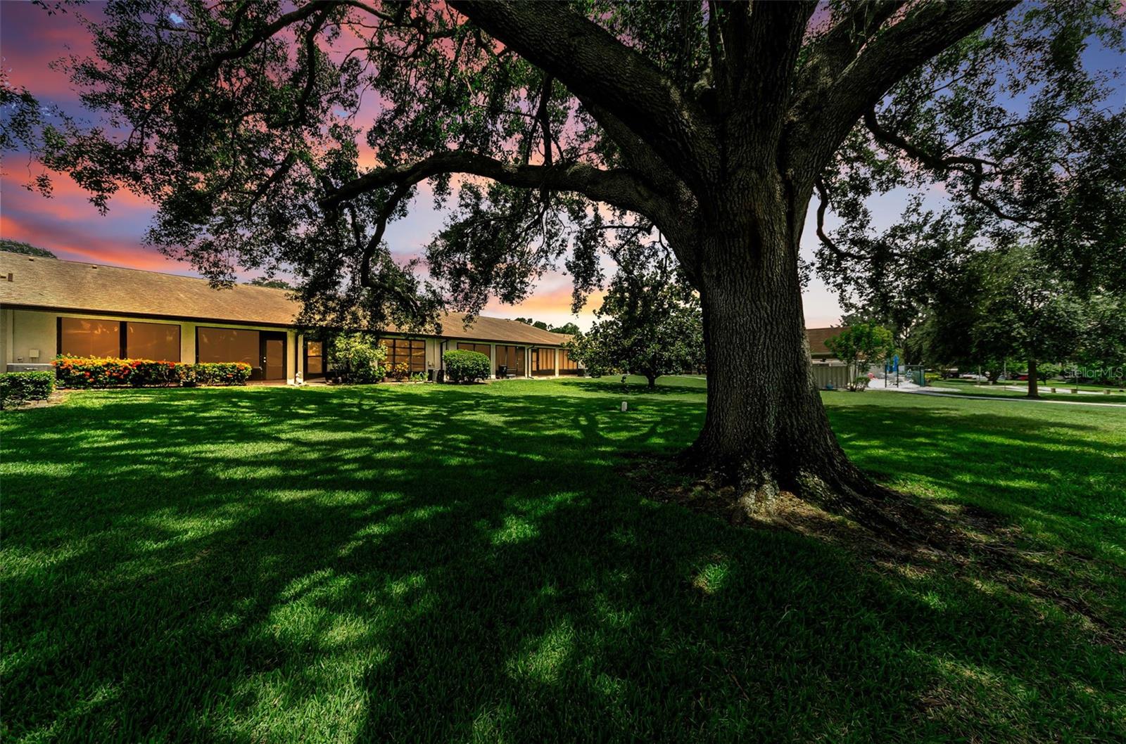 1500 HEATHER RIDGE BOULEVARD 106