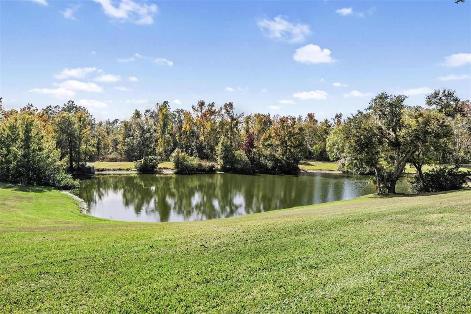 3911 LITHIA RIDGE BOULEVARD