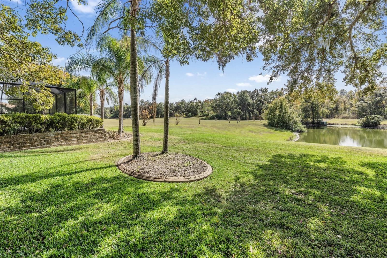 LITHIA RIDGE PH I - Residential