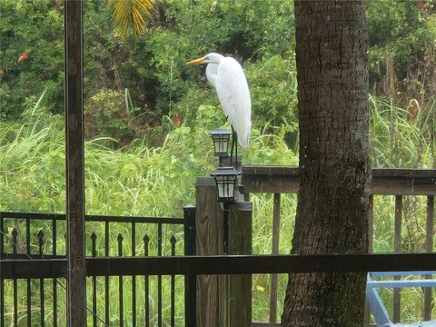 A home in CLEARWATER