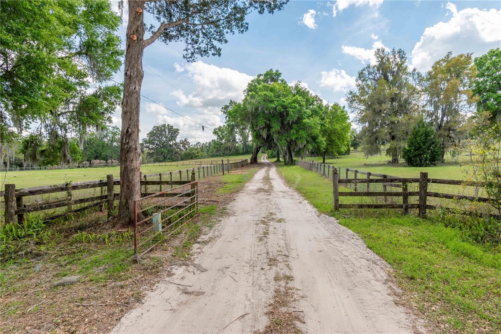 WHIP-POOR-WILL PLANTATION - Land