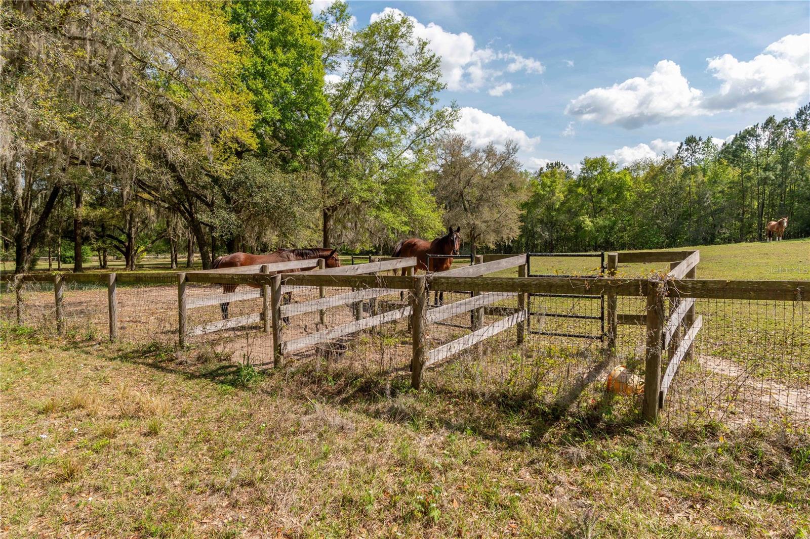 WHIP-POOR-WILL PLANTATION - Land