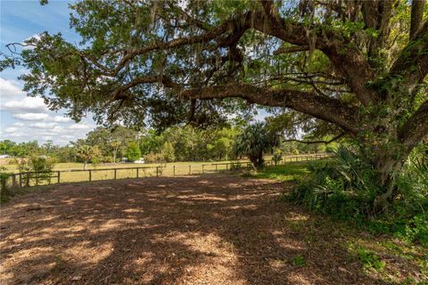 Tiny photo for 6124 NW 160th Street, Reddick, FL 32686 (MLS # OM716763)