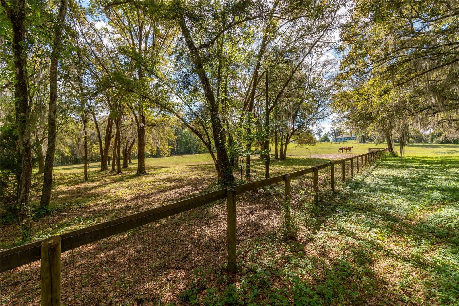 WHIP-POOR-WILL PLANTATION - Land