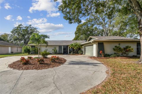 Photo of 3643 Greatwood Court, Land O Lakes, FL 34639 (MLS # TB8450794)