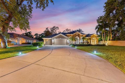 512 CREEKSIDE COURT SAFETY HARBOR FL 34695