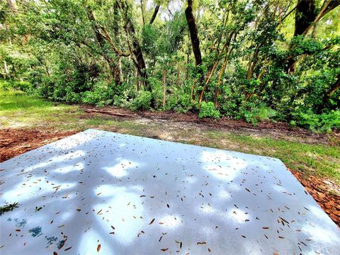 A home in PALM HARBOR