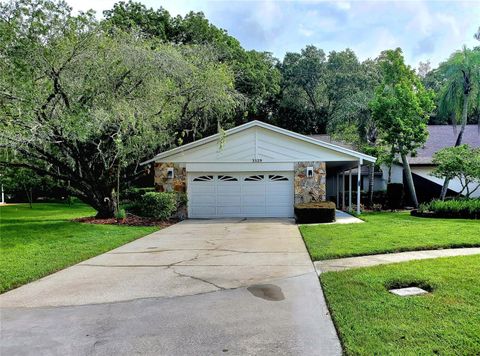 A home in PALM HARBOR