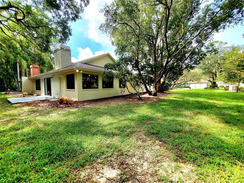 A home in PALM HARBOR