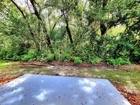 A home in PALM HARBOR