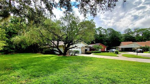 A home in PALM HARBOR