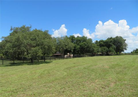 A home in MONTVERDE