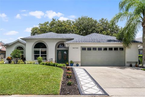 A home in CLERMONT