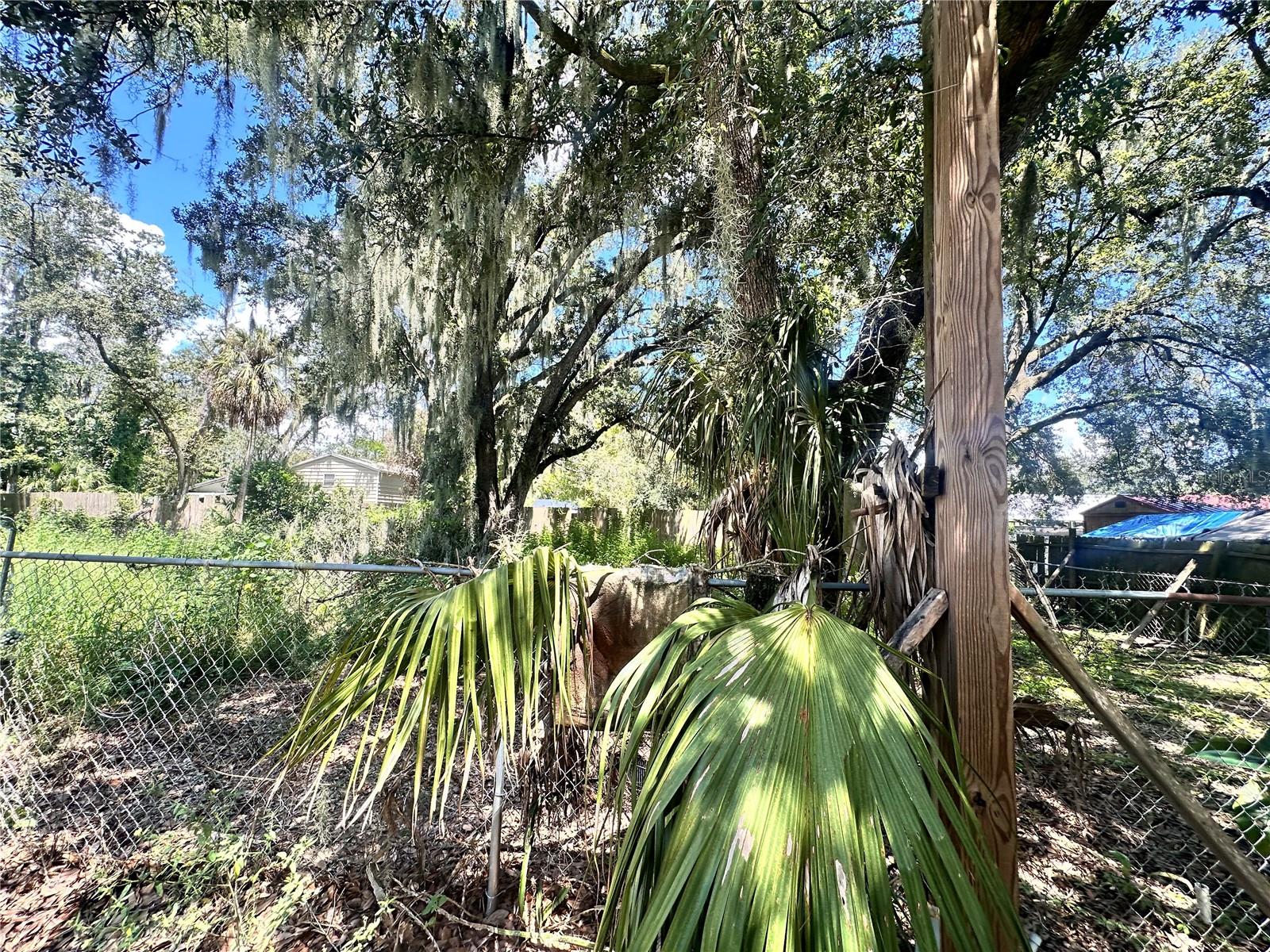 9011 CAREY ROAD
