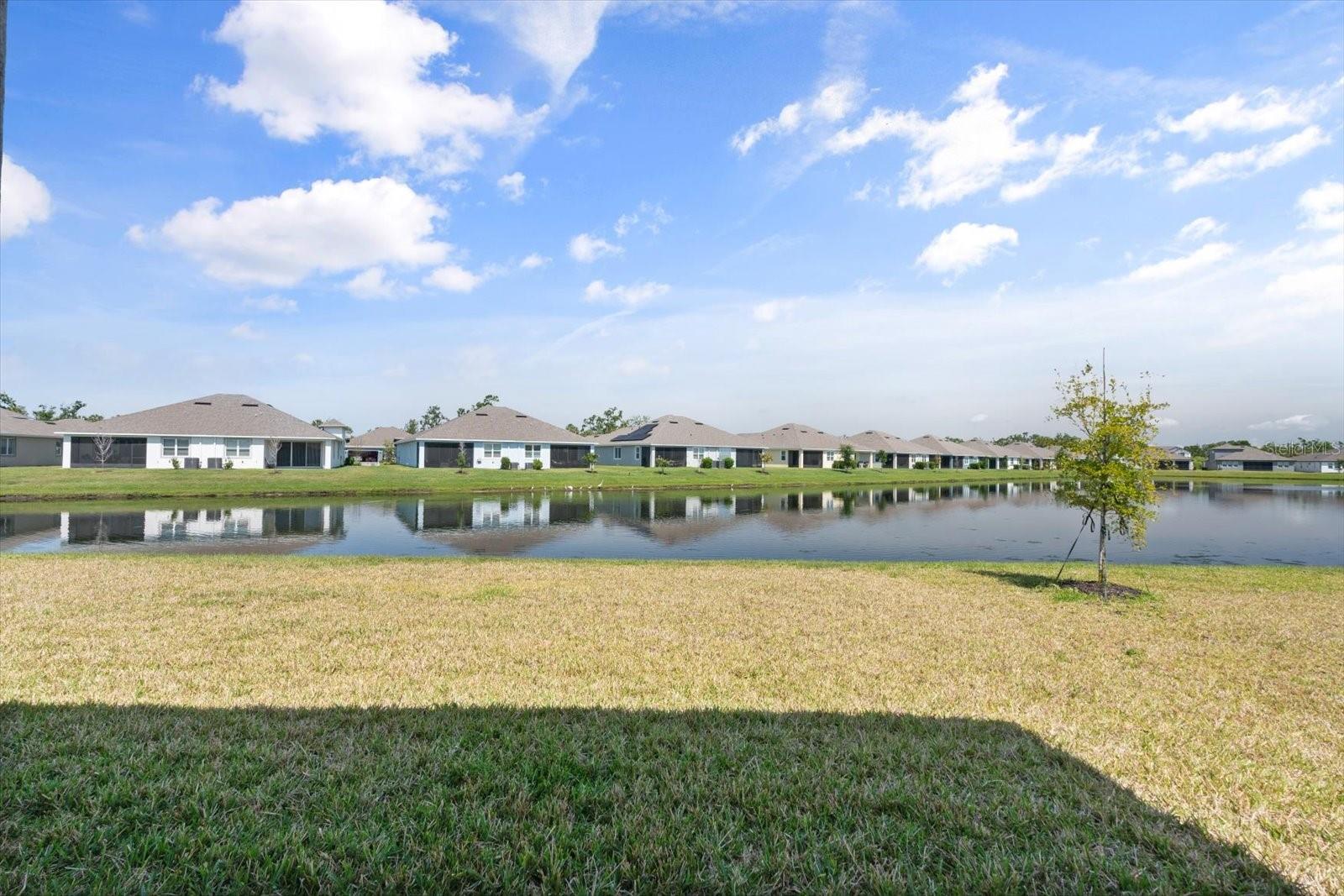 5317 PATANO LOOP