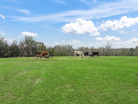 Tiny photo for 6994 NW 320 Highway, Micanopy, FL 32667 (MLS # OM712976)