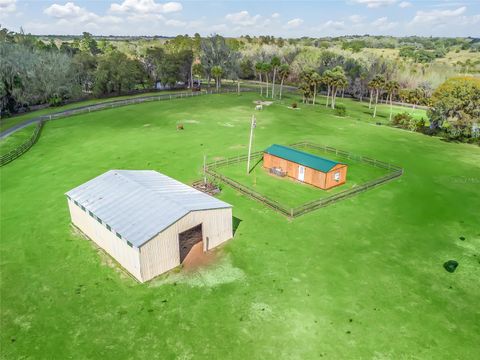 Tiny photo for 6994 NW 320 Highway, Micanopy, FL 32667 (MLS # OM712976)