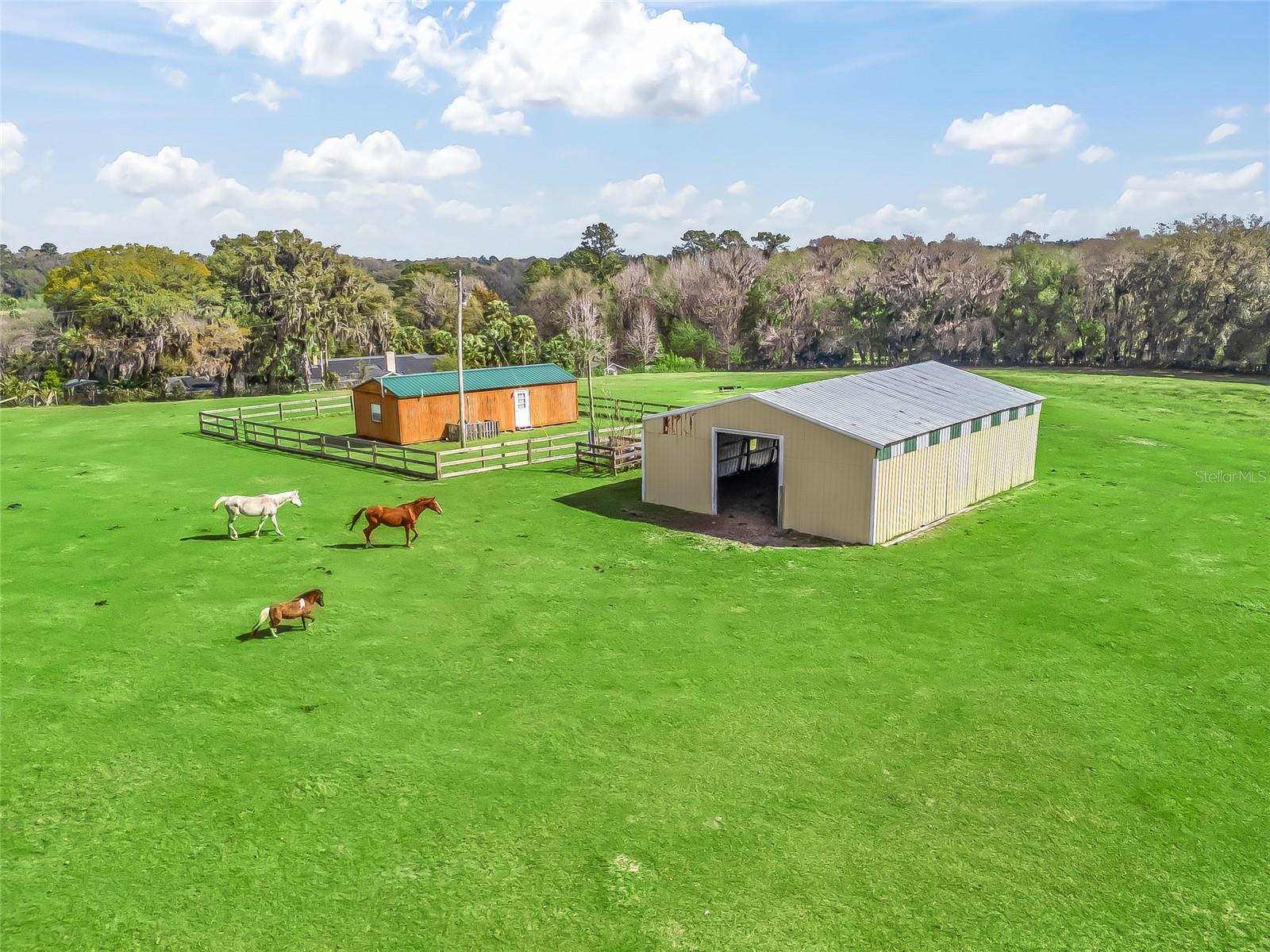 MCINTOSH - Residential