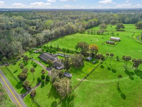Tiny photo for 6994 NW 320 Highway, Micanopy, FL 32667 (MLS # OM712976)