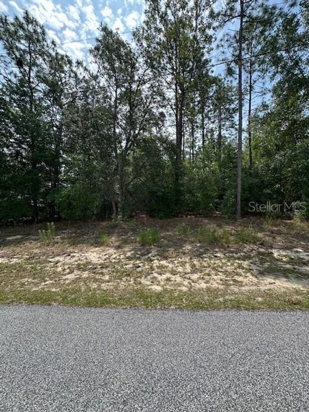 Photo of 920 W Rum Place, Dunnellon, FL 34434 (MLS # OM700898)