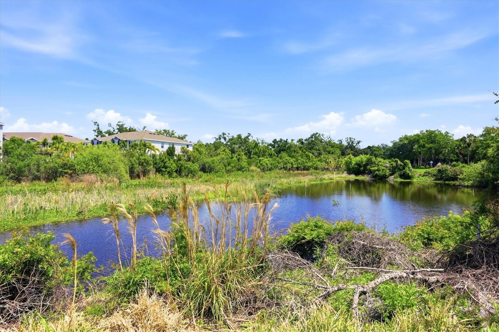 ARIELLE/PALMER RANCH SEC IV - Residential