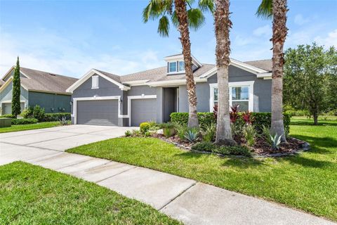 A home in WESLEY CHAPEL