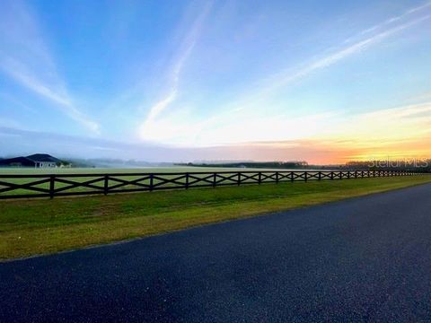 15681 NW 48TH PLACE ALACHUA FL 32615