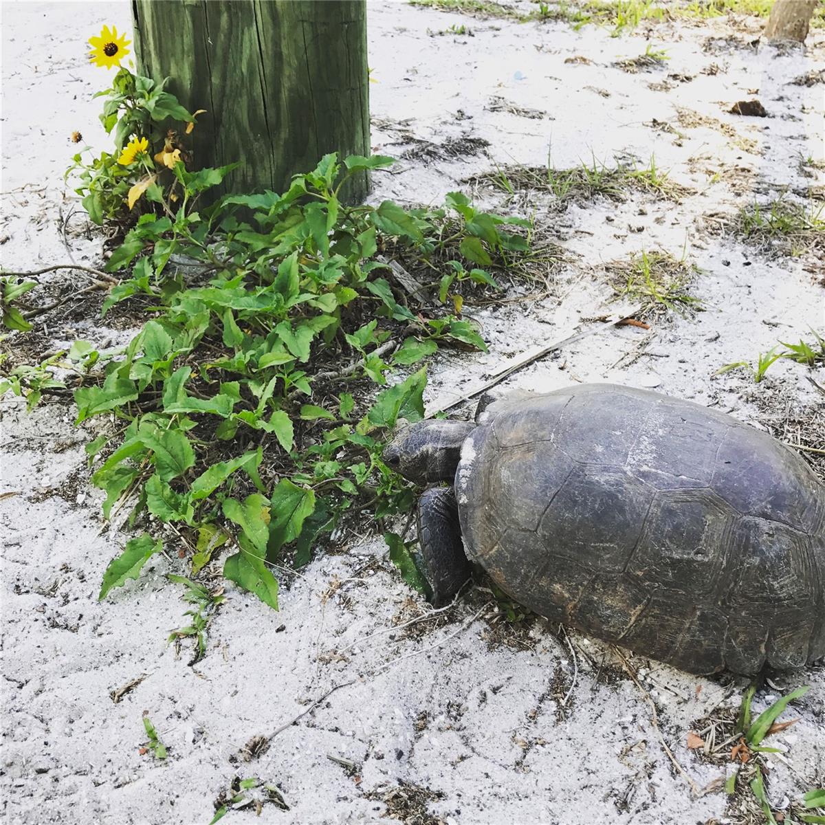 GASPERS HIDEWAY - Residential