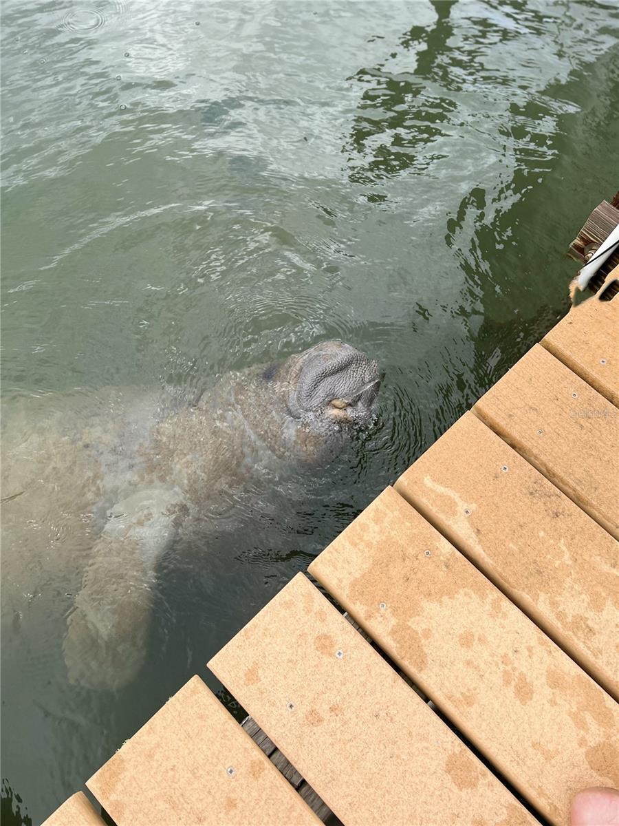 GASPERS HIDEWAY - Residential