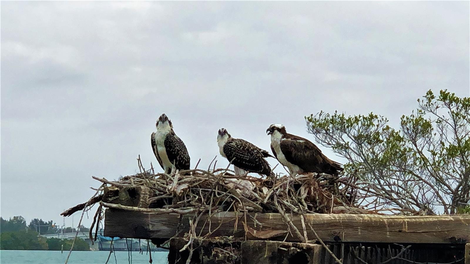 GASPERS HIDEWAY - Residential