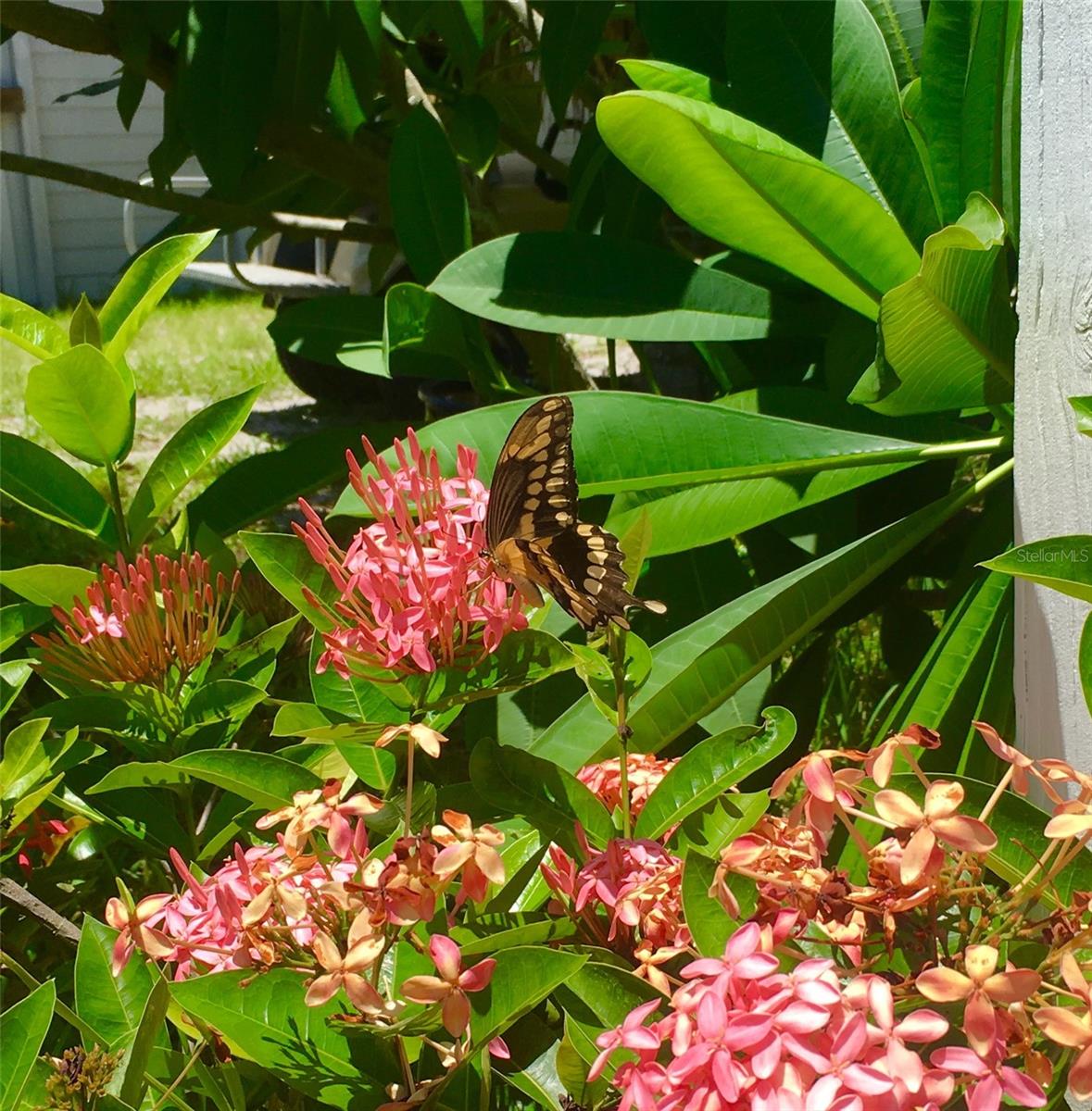 GASPERS HIDEWAY - Residential