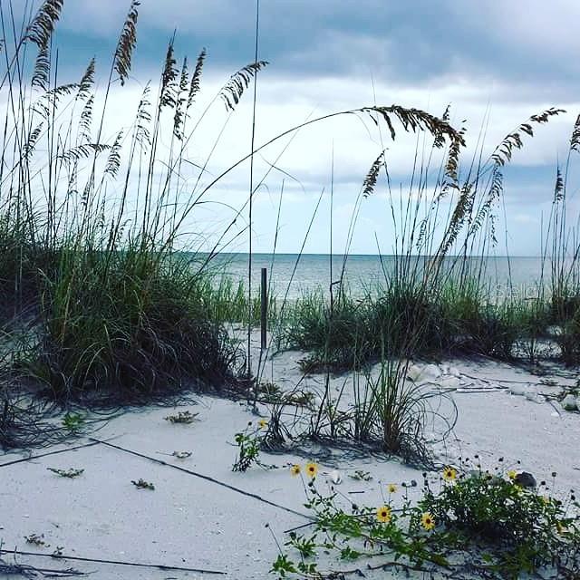 PALM ISLAND ESTATES UNIT 3 - Land