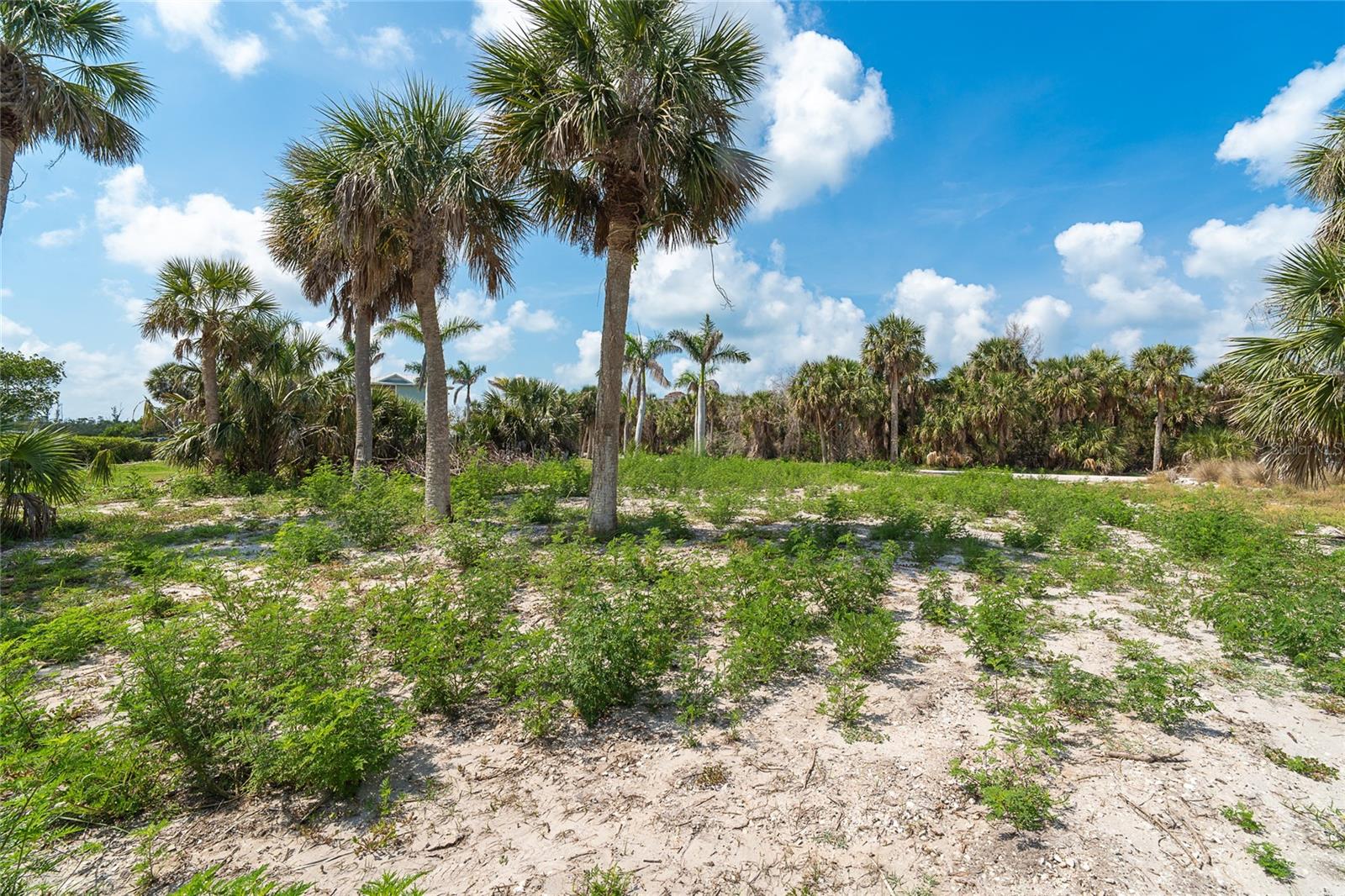 66 TARPON WAY