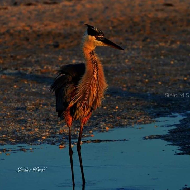 PALM ISLAND ESTATES UNIT 3 - Land