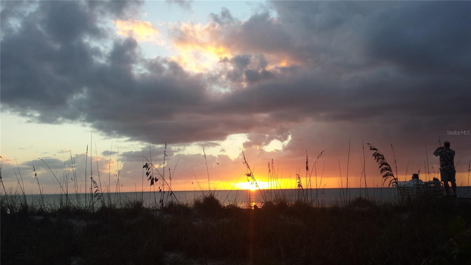 PALM ISLAND ESTATES UNIT 3 - Land