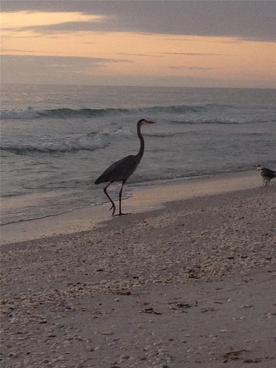 PALM ISLAND ESTATES UNIT 3 - Land