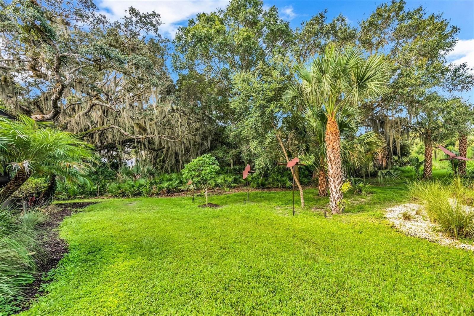 FOREST AT THE HI HAT RANCH - Residential