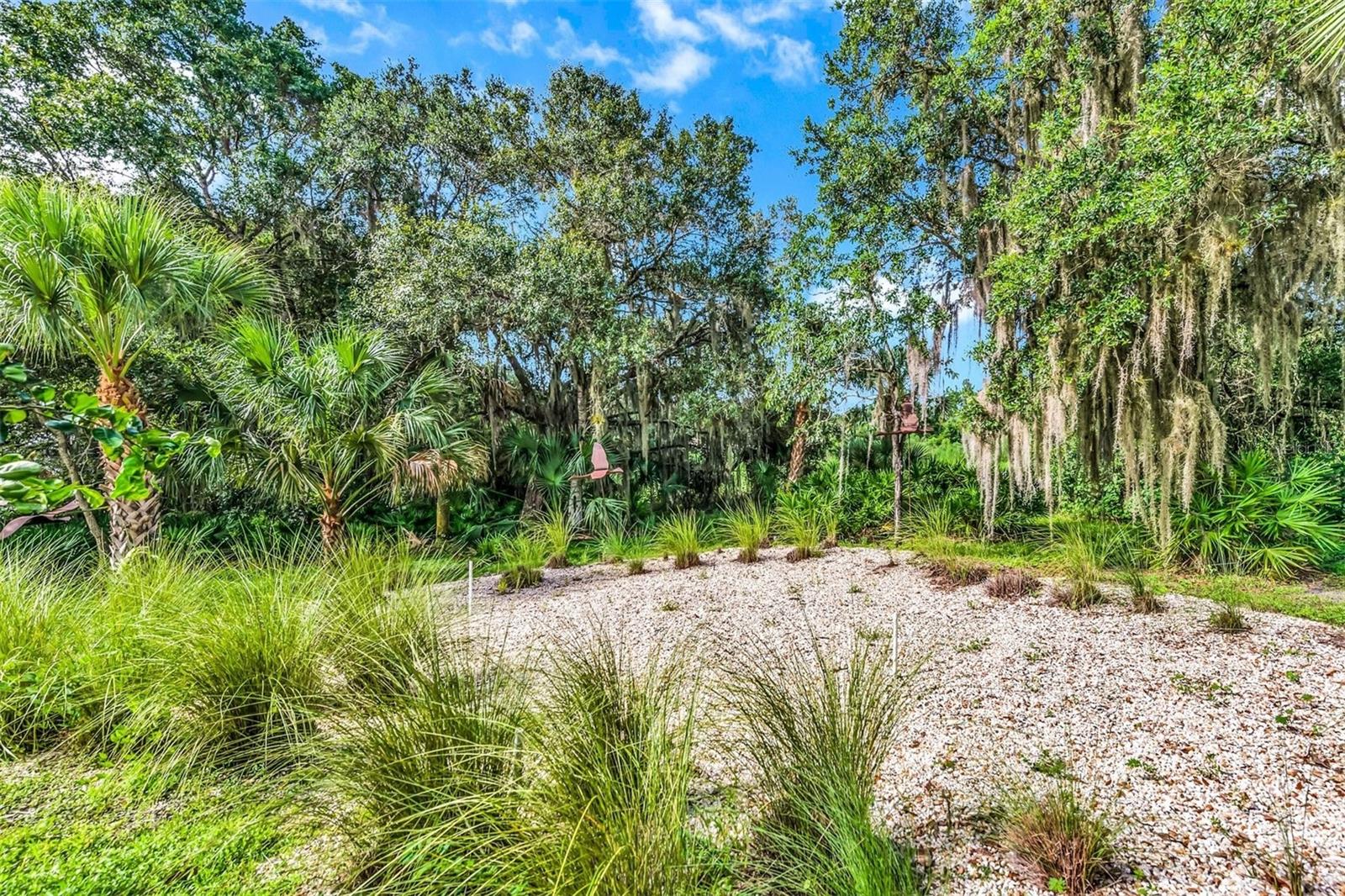 FOREST AT THE HI HAT RANCH - Residential