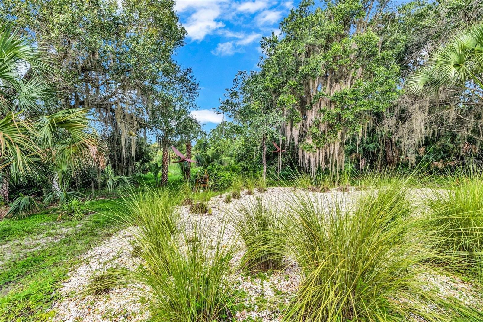 FOREST AT THE HI HAT RANCH - Residential