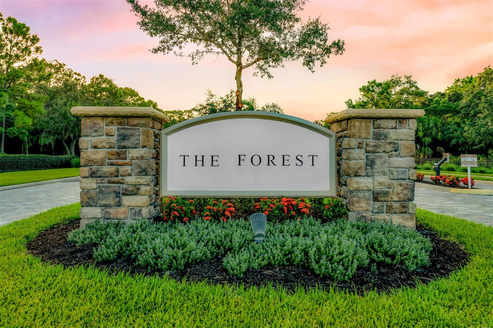 FOREST AT THE HI HAT RANCH - Residential