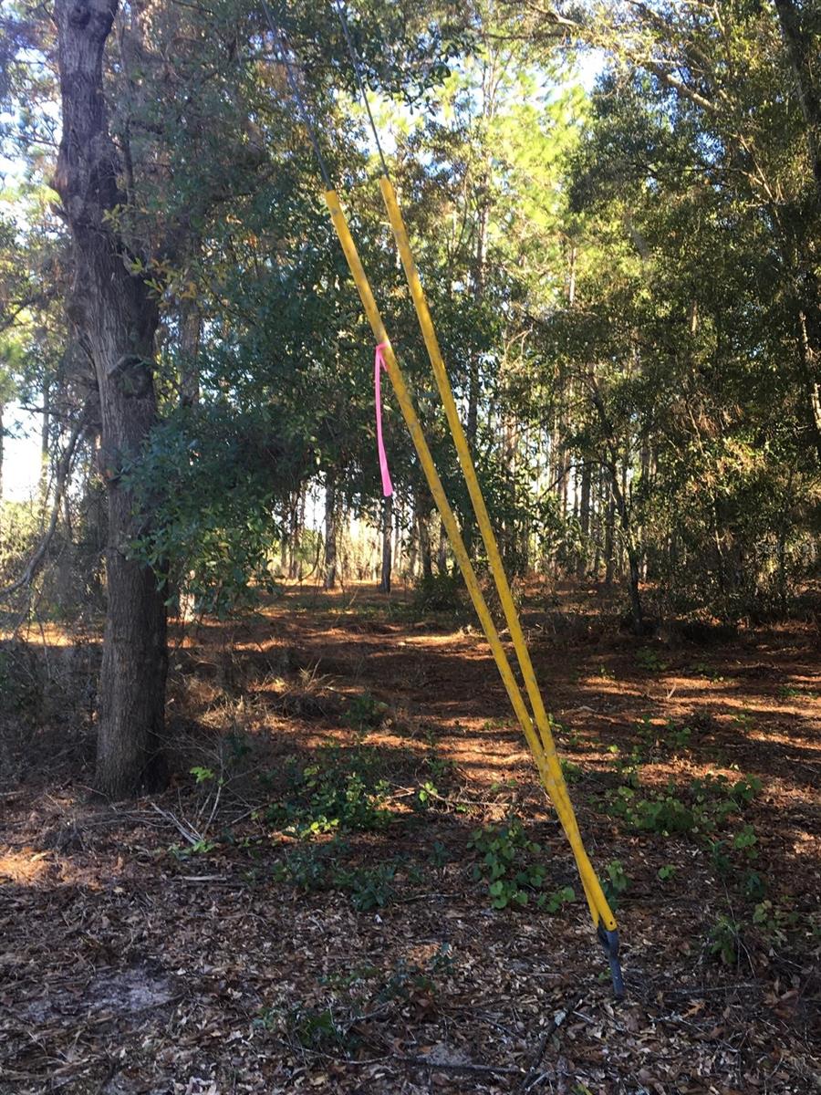 SILVER SPGS SHORES UN 31 - Land