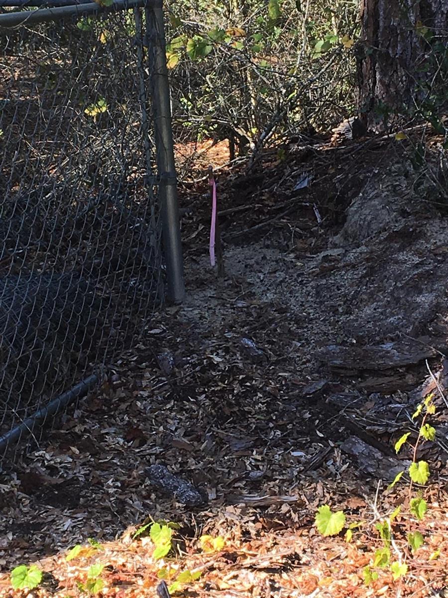 SILVER SPGS SHORES UN 31 - Land